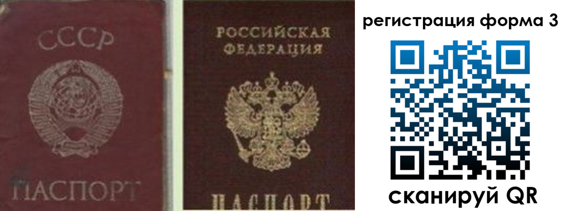 прописка для школы в Волгоградской области